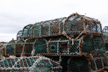 Bulutlu bir günde bir yığın İskoç ıstakozu.