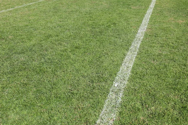 White line on green football field. Close-up of white lines on green grass football field in top view with selective focus