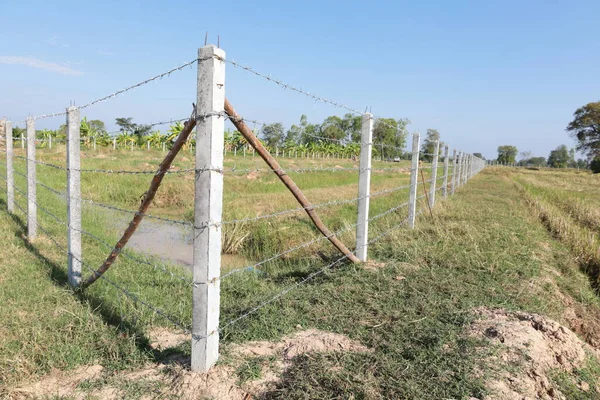 Concrete pillars with barbed wire fence. Newly built outdoor barbed wire fence For preventing invasion and blocking the boundaries of mixed farming farms with copy space with selected focus points.
