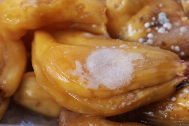 Beyaz mantar meyveli. Beyaz mantar sporları, kopya alanı olan sarı çürük meyvelerin üzerine yığılmış. seçici odak