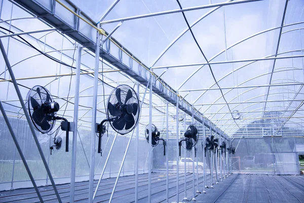 Вентилятор Оранжерее Длинная Очередь Черных Вентиляторов Большом Зале Внутреннего Климат — стоковое фото