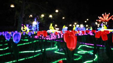 Yapay çiçekler çok güzel parlıyor. Tayland 'daki Songkran festivali sırasında gece parktaki güzel kırmızı neon havai fişeklerin seçici odaklı fotokopi alanıyla yakılması..