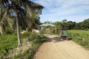 Chittagong 'un kırsal kesiminde tuğla bir yol ve bir ev. Bangladeş köyünün sabah manzarası.