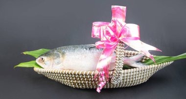 A Hilsha fish in a boat-shaped handmade busket used as a gift hamper in festive occations such as Jamai Shashthi, Pohela boishakh etc in Bangladesh and India, decorated with decorating ribbon. clipart