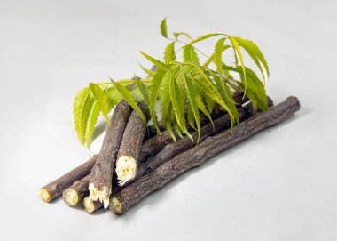 Neem Sticks ve Neem yaprakları stüdyo masasında. Neem Datun, sağlıklı dişler ve mikropsuz ağızlar için geleneksel diş çiğneme çubuklarıdır. Azadirachta indica.