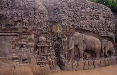 Arjuna 'nın Mahabalipuram Hindistan' daki kefaretinde fil heykelleri. Granit üzerine oyulmuş fil heykeli. UNESCO Dünya Mirası sahası.