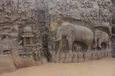 Arjuna 'nın Mahabalipuram Hindistan' daki kefaretinde fil heykelleri. Granit üzerine oyulmuş fil heykeli. UNESCO Dünya Mirası sahası.