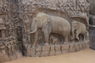 Arjuna 'nın Mahabalipuram Hindistan' daki kefaretinde fil heykelleri. Granit üzerine oyulmuş fil heykeli. UNESCO Dünya Mirası sahası.