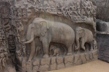 Arjuna 'nın Mahabalipuram Hindistan' daki kefaretinde fil heykelleri. Granit üzerine oyulmuş fil heykeli. UNESCO Dünya Mirası sahası.