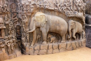 Arjuna 'nın Mahabalipuram Hindistan' daki kefaretinde fil heykelleri. Granit üzerine oyulmuş fil heykeli. UNESCO Dünya Mirası sahası.