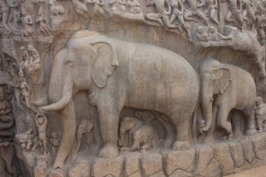 Arjuna 'nın Mahabalipuram Hindistan' daki kefaretinde fil heykelleri. Granit üzerine oyulmuş fil heykeli. UNESCO Dünya Mirası sahası.