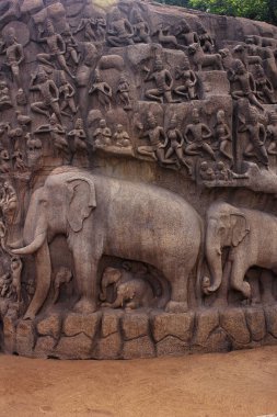 Arjuna 'nın Mamallapuram' daki Kefareti, Tamil Nadu, Güney Hindistan, Asya 'daki Unesco Dünya Mirası