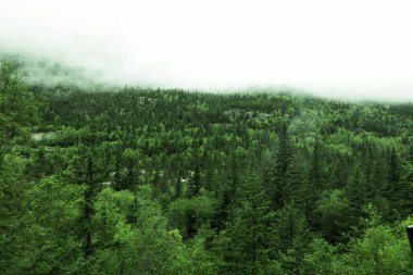 Beyaz Geçit 'ten ve Yukon Rotası' ndan manzaralı bir an, dağlık patika boyunca kıvrılan tarihi treni gösteriyor..