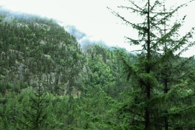 Beyaz Geçit 'ten ve Yukon Rotası' ndan manzaralı bir an, dağlık patika boyunca kıvrılan tarihi treni gösteriyor..
