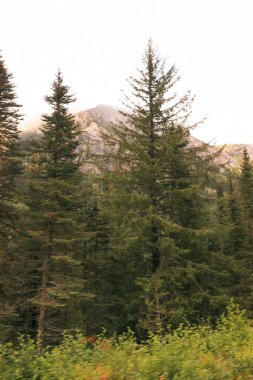 Beyaz Geçit 'ten ve Yukon Rotası' ndan manzaralı bir an, dağlık patika boyunca kıvrılan tarihi treni gösteriyor..