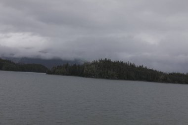 Juneau, Alaska 'da bir limanda, kar kaplı bir dağ ve arka planda alçak bir sis bulunan bir yolcu gemisi.