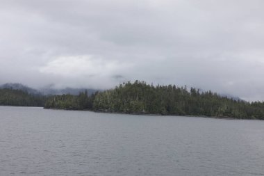 Juneau, Alaska 'da bir limanda, kar kaplı bir dağ ve arka planda alçak bir sis bulunan bir yolcu gemisi.