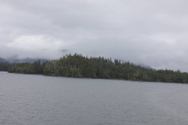 Juneau, Alaska 'da bir limanda, kar kaplı bir dağ ve arka planda alçak bir sis bulunan bir yolcu gemisi.