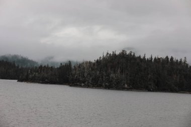 Juneau, Alaska 'da bir limanda, kar kaplı bir dağ ve arka planda alçak bir sis bulunan bir yolcu gemisi.