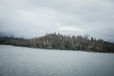 Juneau, Alaska 'da bir limanda, kar kaplı bir dağ ve arka planda alçak bir sis bulunan bir yolcu gemisi.