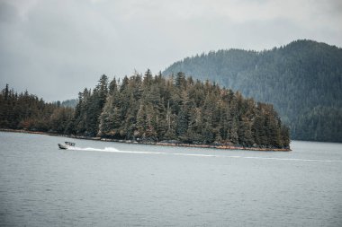 Juneau, Alaska 'da bir limanda, kar kaplı bir dağ ve arka planda alçak bir sis bulunan bir yolcu gemisi.