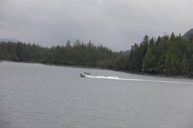 Juneau, Alaska 'da bir limanda, kar kaplı bir dağ ve arka planda alçak bir sis bulunan bir yolcu gemisi.