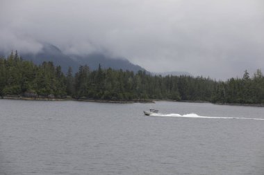 Juneau, Alaska 'da bir limanda, kar kaplı bir dağ ve arka planda alçak bir sis bulunan bir yolcu gemisi.