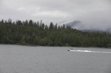 Juneau, Alaska 'da bir limanda, kar kaplı bir dağ ve arka planda alçak bir sis bulunan bir yolcu gemisi.