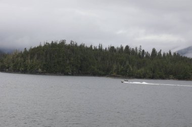Juneau, Alaska 'da bir limanda, kar kaplı bir dağ ve arka planda alçak bir sis bulunan bir yolcu gemisi.