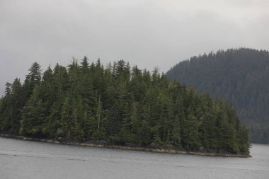 Juneau, Alaska 'da bir limanda, kar kaplı bir dağ ve arka planda alçak bir sis bulunan bir yolcu gemisi.
