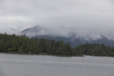 Juneau, Alaska 'da bir limanda, kar kaplı bir dağ ve arka planda alçak bir sis bulunan bir yolcu gemisi.