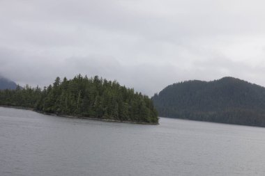 Juneau, Alaska 'da bir limanda, kar kaplı bir dağ ve arka planda alçak bir sis bulunan bir yolcu gemisi.