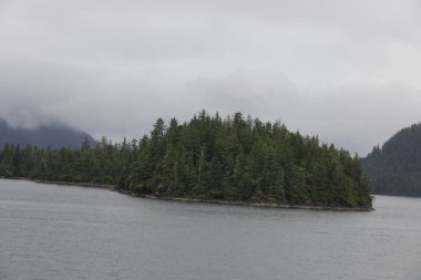 Juneau, Alaska 'da bir limanda, kar kaplı bir dağ ve arka planda alçak bir sis bulunan bir yolcu gemisi.