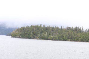 Juneau, Alaska 'da bir limanda, kar kaplı bir dağ ve arka planda alçak bir sis bulunan bir yolcu gemisi.