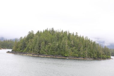 Juneau, Alaska 'da bir limanda, kar kaplı bir dağ ve arka planda alçak bir sis bulunan bir yolcu gemisi.