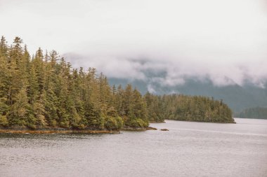 Juneau, Alaska 'da bir limanda, kar kaplı bir dağ ve arka planda alçak bir sis bulunan bir yolcu gemisi.