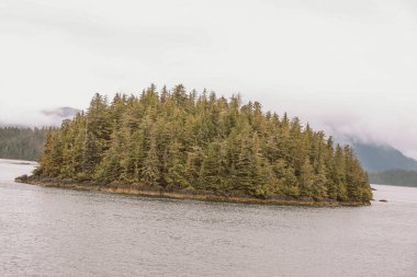 Juneau, Alaska 'da bir limanda, kar kaplı bir dağ ve arka planda alçak bir sis bulunan bir yolcu gemisi.