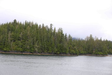 Juneau, Alaska 'da bir limanda, kar kaplı bir dağ ve arka planda alçak bir sis bulunan bir yolcu gemisi.