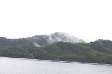 Juneau, Alaska 'da bir limanda, kar kaplı bir dağ ve arka planda alçak bir sis bulunan bir yolcu gemisi.