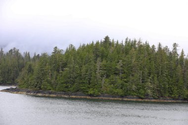 Juneau, Alaska 'da bir limanda, kar kaplı bir dağ ve arka planda alçak bir sis bulunan bir yolcu gemisi.