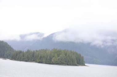 Juneau, Alaska 'da bir limanda, kar kaplı bir dağ ve arka planda alçak bir sis bulunan bir yolcu gemisi.