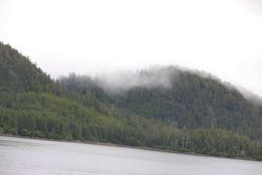Juneau, Alaska 'da bir limanda, kar kaplı bir dağ ve arka planda alçak bir sis bulunan bir yolcu gemisi.