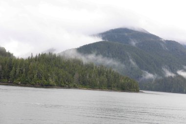 Juneau, Alaska 'da bir limanda, kar kaplı bir dağ ve arka planda alçak bir sis bulunan bir yolcu gemisi.