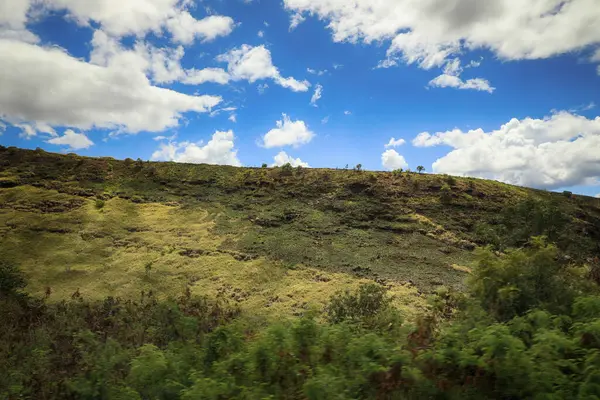 Waipoo Şelalesi, Hawaii, Kauai 'deki Waimea Kanyonu' nun 200 metre dibine düşüyor.