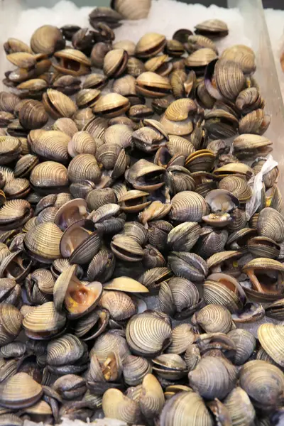 Beyaz buz zemininde izole edilmiş taze midyeler.