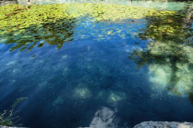Dzibilchaltun, Meksika, Dzibilchaltun, Meksika 'da bulunan Xlacah sayımı