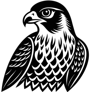 Peregrine Falcon kuş amblemi tasarımı çizimi