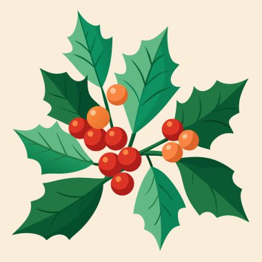 Berry vektör tasarımı fikri ile Winter Holly Branch