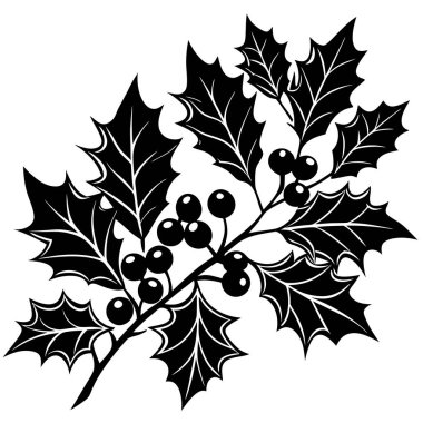 Berry vektör tasarımı fikri ile Winter Holly Branch