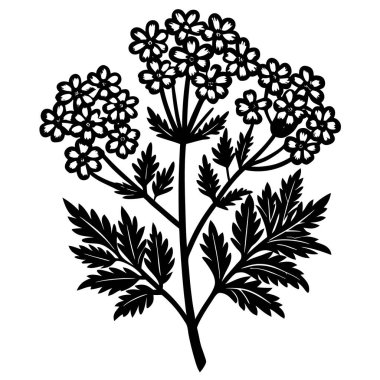 yarrow çiçek illüstrasyon logo vektör tasarımı